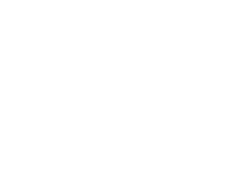 Bon Voyage co., ltd.